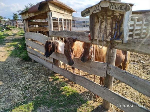 Garni Villa Lory - foto 32465.jpg