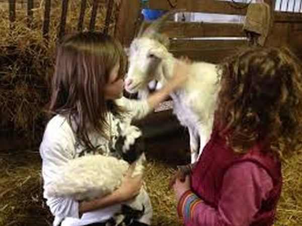 Agriturismo Lucatello  - foto 32823.jpg