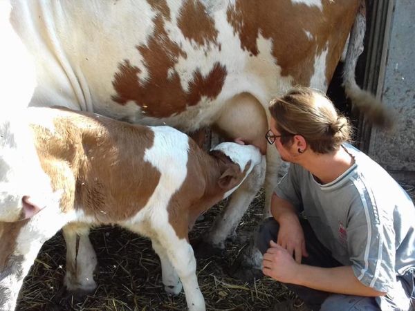 Agriturismo Lucatello  - foto 32825.jpg