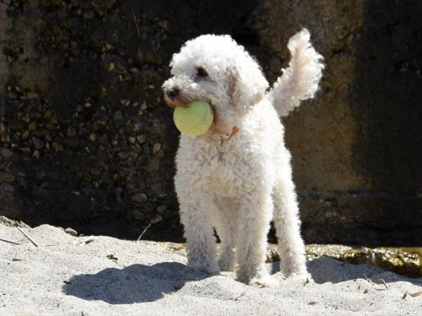 Baia del Silenzio Resort   - foto 33355.jpg