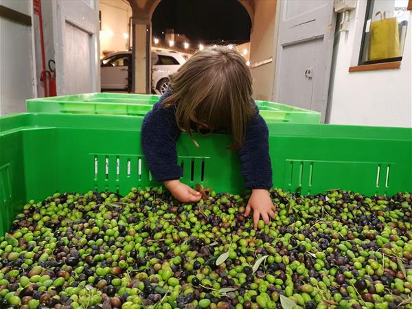 Fattoria di Maiano - foto 33640.jpg