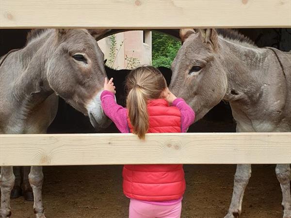 Fattoria di Maiano - foto 33646.jpg