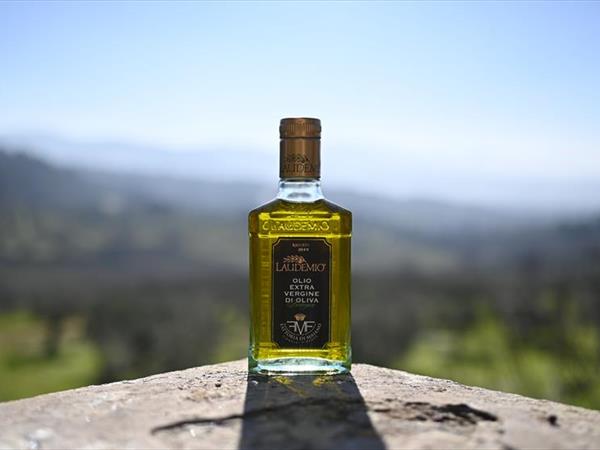 Fattoria di Maiano - foto 33653.jpg