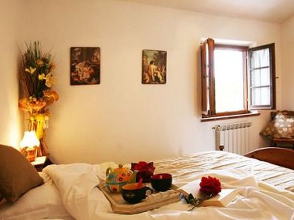 Il Torrino Azienda Agricola - foto 10385.jpg