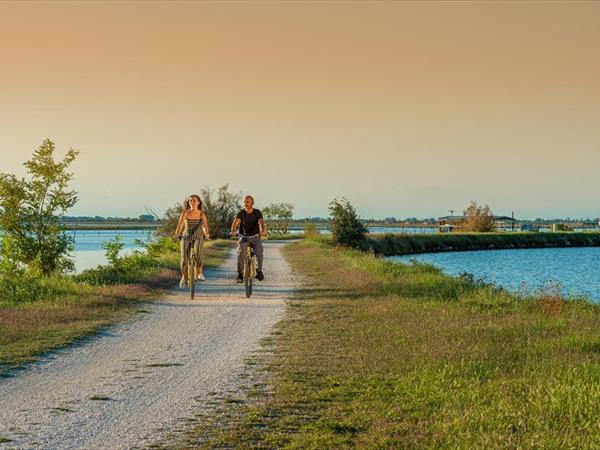 Albarella s.r.l - foto 33890.jpg