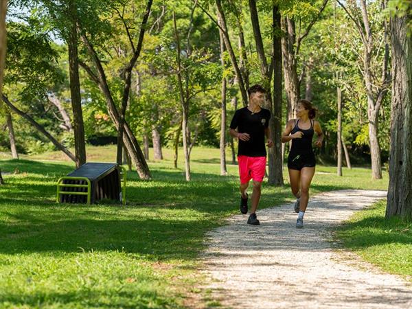 Albarella s.r.l - foto 33911.jpg