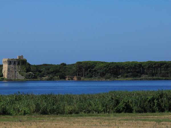 Residence Hotel I Briganti di Capalbio - foto 33966.jpg