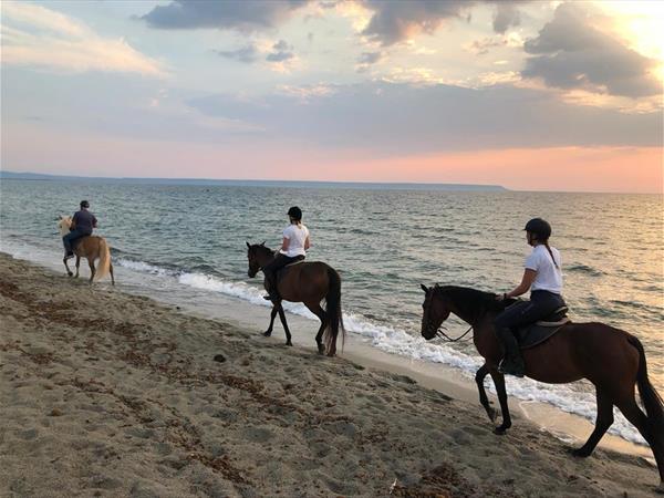 Horse Country Resort Congress & SPA - foto 34245.jpg