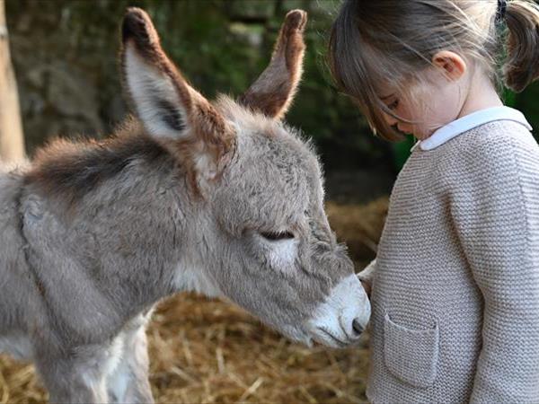 Fattoria di Maiano - foto 34913.jpg