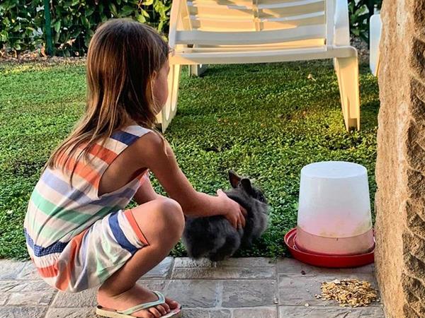 Fattoria Palazzeta  - foto 34963.jpg