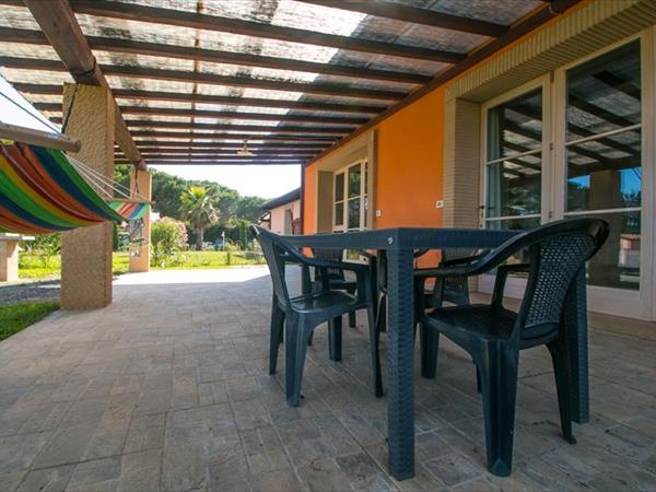 Fattoria Palazzeta  - foto 34976.jpg