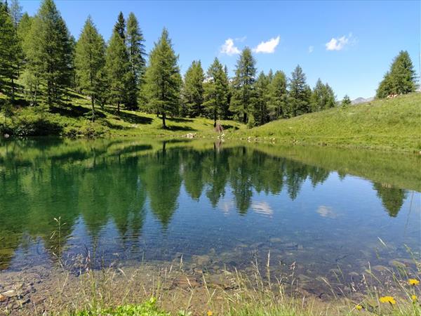 Familyhotel Viktoria - foto 35206.jpg