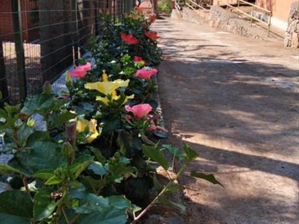 Villaggio da Pep  - foto 35270.jpg