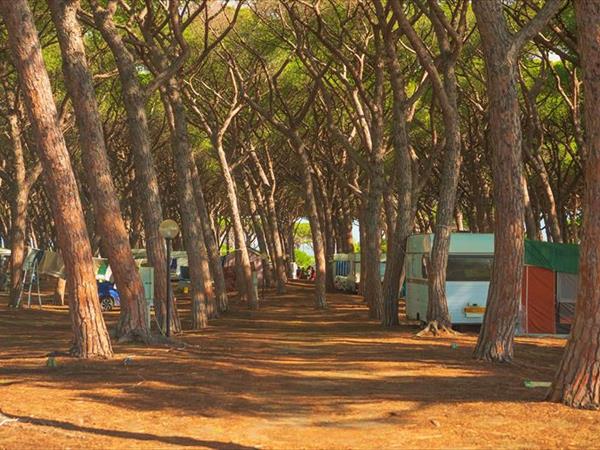 Gitavillage California - foto 35442.jpg