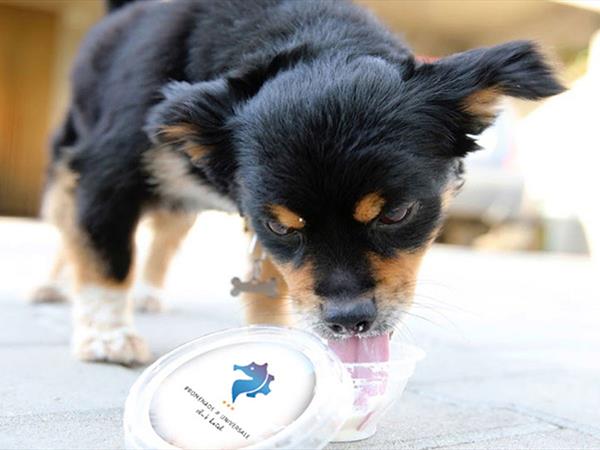 Hotel Promenade Universale - foto 35618.jpg