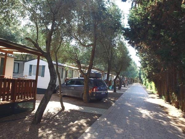 B&B Shadak - foto 35663.jpg