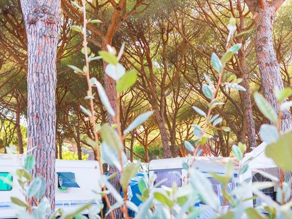 Gitavillage Argentario - foto 36118.jpg