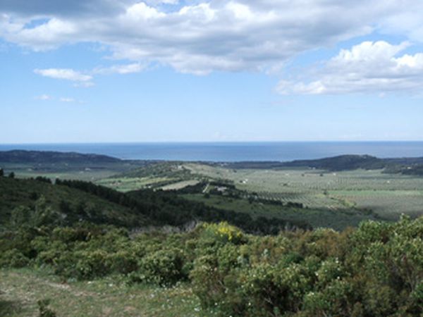 Azienda Agricola Gentile - foto 561.jpg