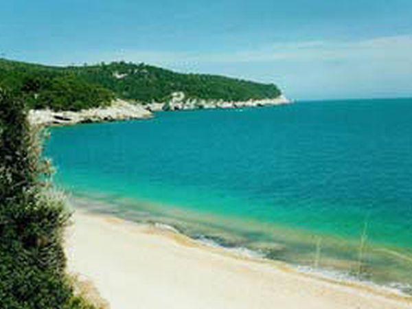 Azienda Agricola Gentile - foto 566.jpg