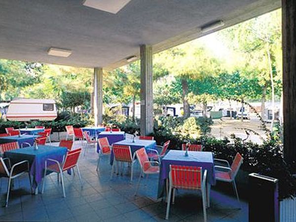International Camping Torre Cerrano - foto 12109.jpg