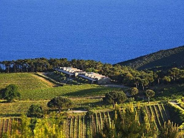 Tenuta Delle Ripalte - foto 12810.jpg