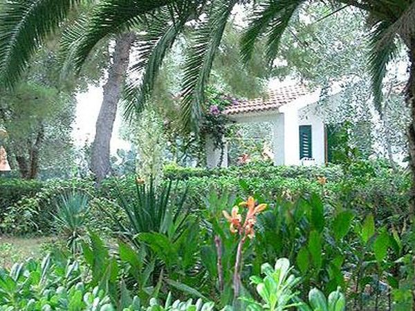 Villaggio Turistico Residence Delfino - foto 12751.jpg