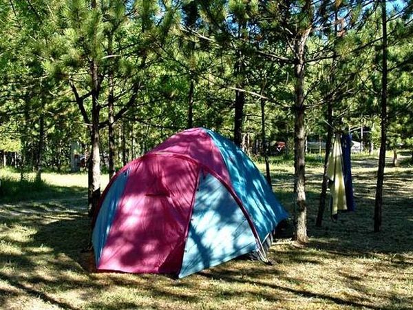 Bar Pineta Camping del lago - foto 12940.jpg