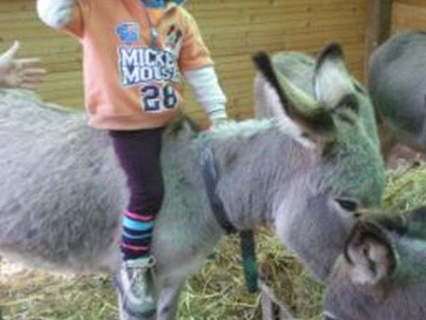 Agriturismo Il Colle delle Querce - foto 14677.jpg