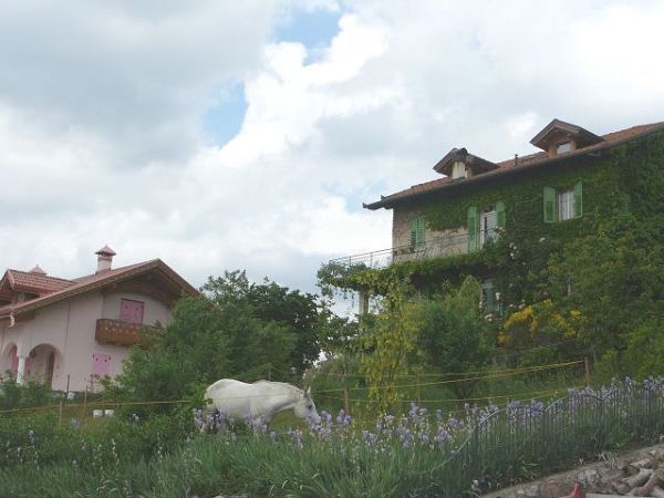 Agriturismo Casamiramonti  - foto 781.jpg