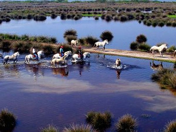 Club Village & Hotel Spiaggia Romea - foto 6749.jpg