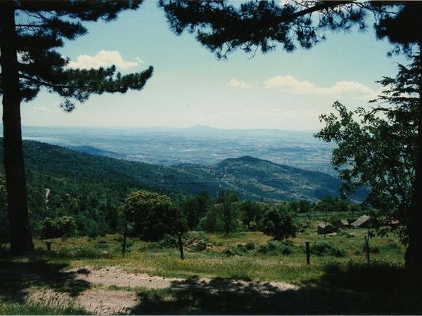 Agriturismo SantEgidio - foto 7012.jpg