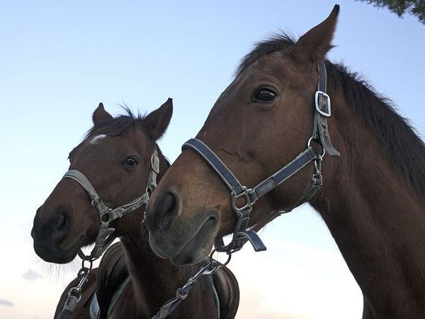 Riserva Privata San Settimio - foto 7485.jpg