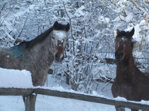 Agriturismo Piccola Raieda - foto 7919.jpg