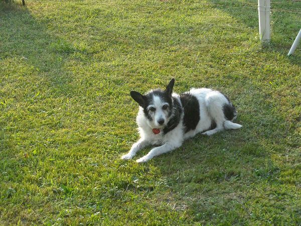 B&B Villa Albertina - foto 1540.jpg