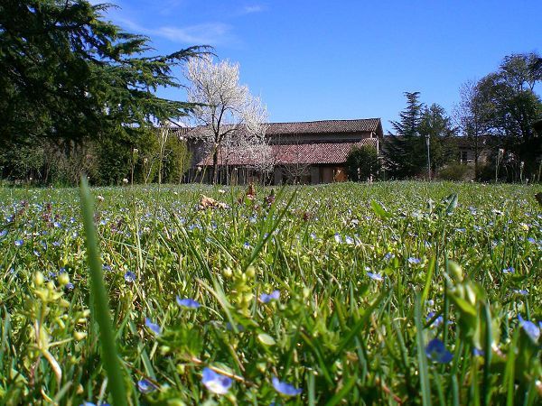 Casa Antica Mosaici - foto 9197.jpg