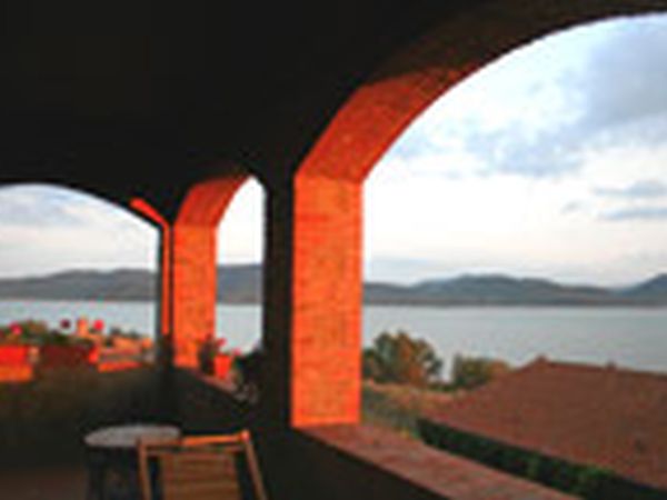 Fattoria il Poggio - foto 9216.jpg