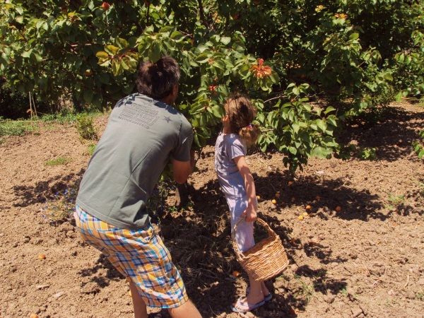 Agriturismo Casa Gialla - foto 9381.jpg