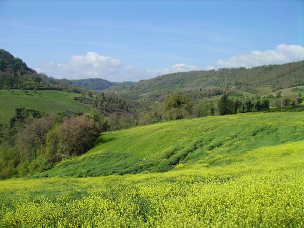 Fontana Mancina - foto 9625.jpg