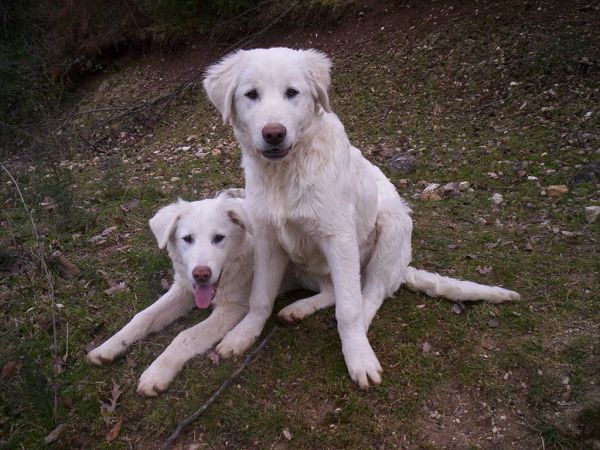 Monte degli Elci - foto 9693.jpg