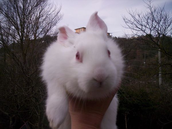 Monte degli Elci - foto 9695.jpg