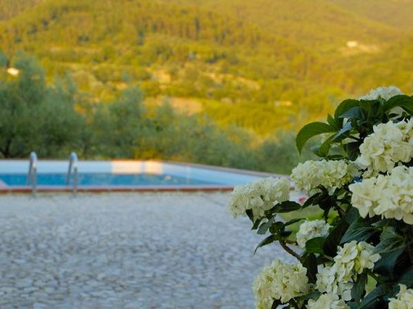 Agriturismo Il Manoscritto - foto 9699.jpg