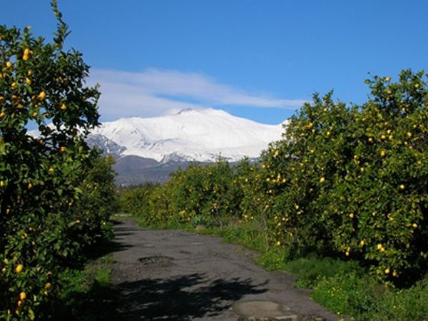 Agriturismo San Leonardello - foto 9735.jpg