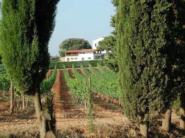 Agriturismo Tesorino - foto 9829.jpg