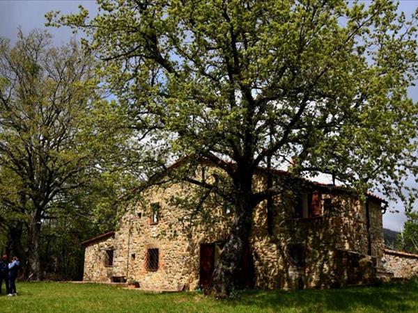 Il Venaio - Massa Marittima (GR)