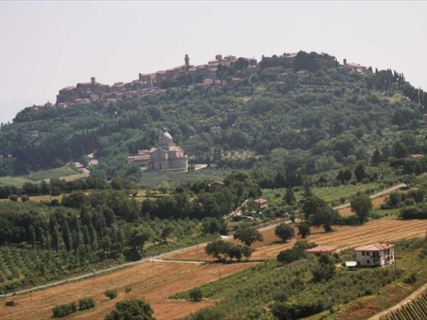 B&B Il Girasole - Montepulciano (SI)