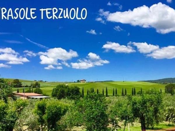 Il Girasole Terzuolo