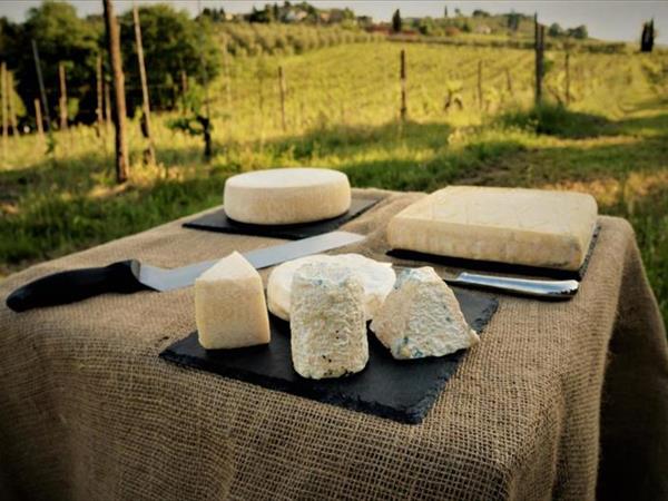 Agriturismo Fattoria le caprine - Gambassi Terme (FI)