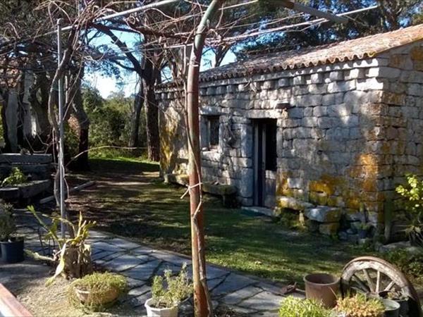 Agriturismo La Vigna - Tempio Pausania (OT)