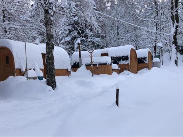 Villaggio il Bosco - Entracque (CN)