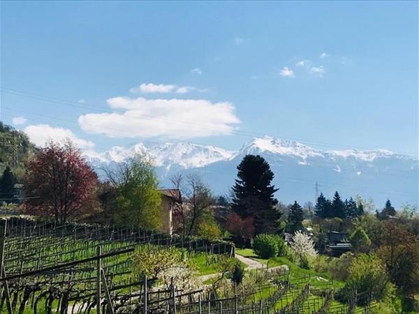 B&B Marina La Casa in Collina